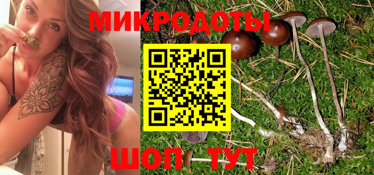 Галлюциногенные грибы мицелий Новый Уренгой