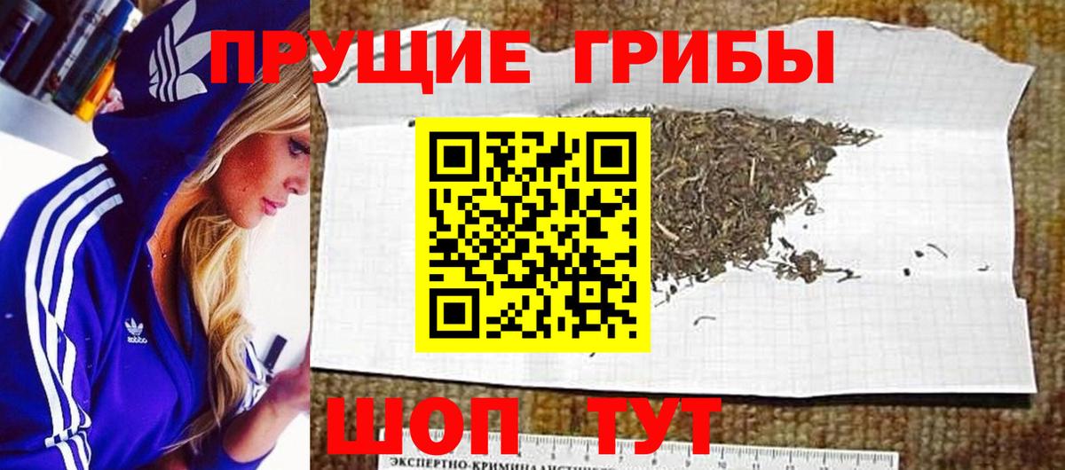 Галлюциногенные грибы MAGIC MUSHROOMS  Вход с VPN  Новый Уренгой  Псилоцибиновые грибы Cubensis 